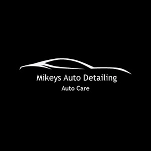 Mikey's Auto Detailing