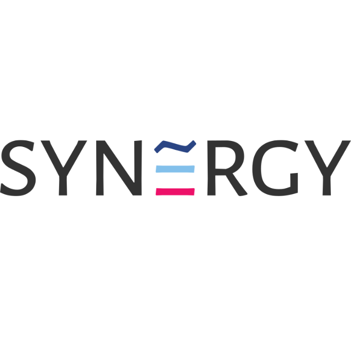 Synergy IT
