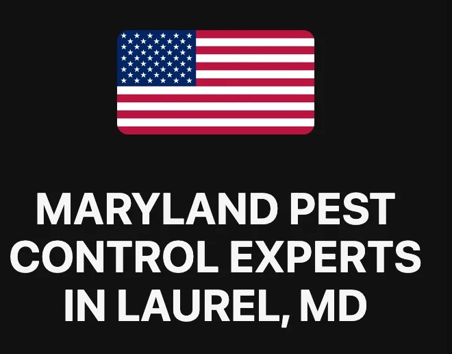 Maryland Pest Control Experts