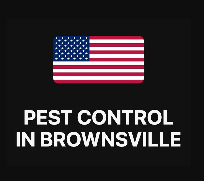 Pest Control in Brownsville