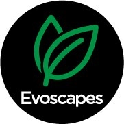 Evoscapes