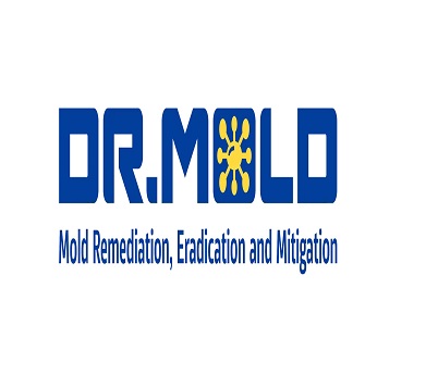 Dr. Mold & Water Damage