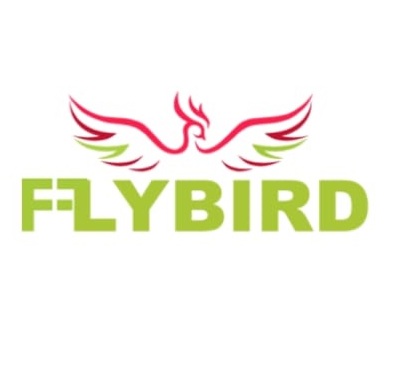 Fly Bird Taxis