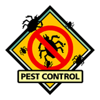 Big Apple Pest Control