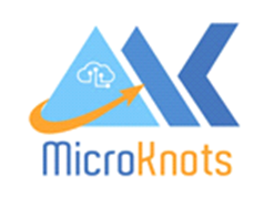 Microknots IT Solutions And Consulting