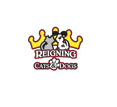 Reigning Cats & Dogs