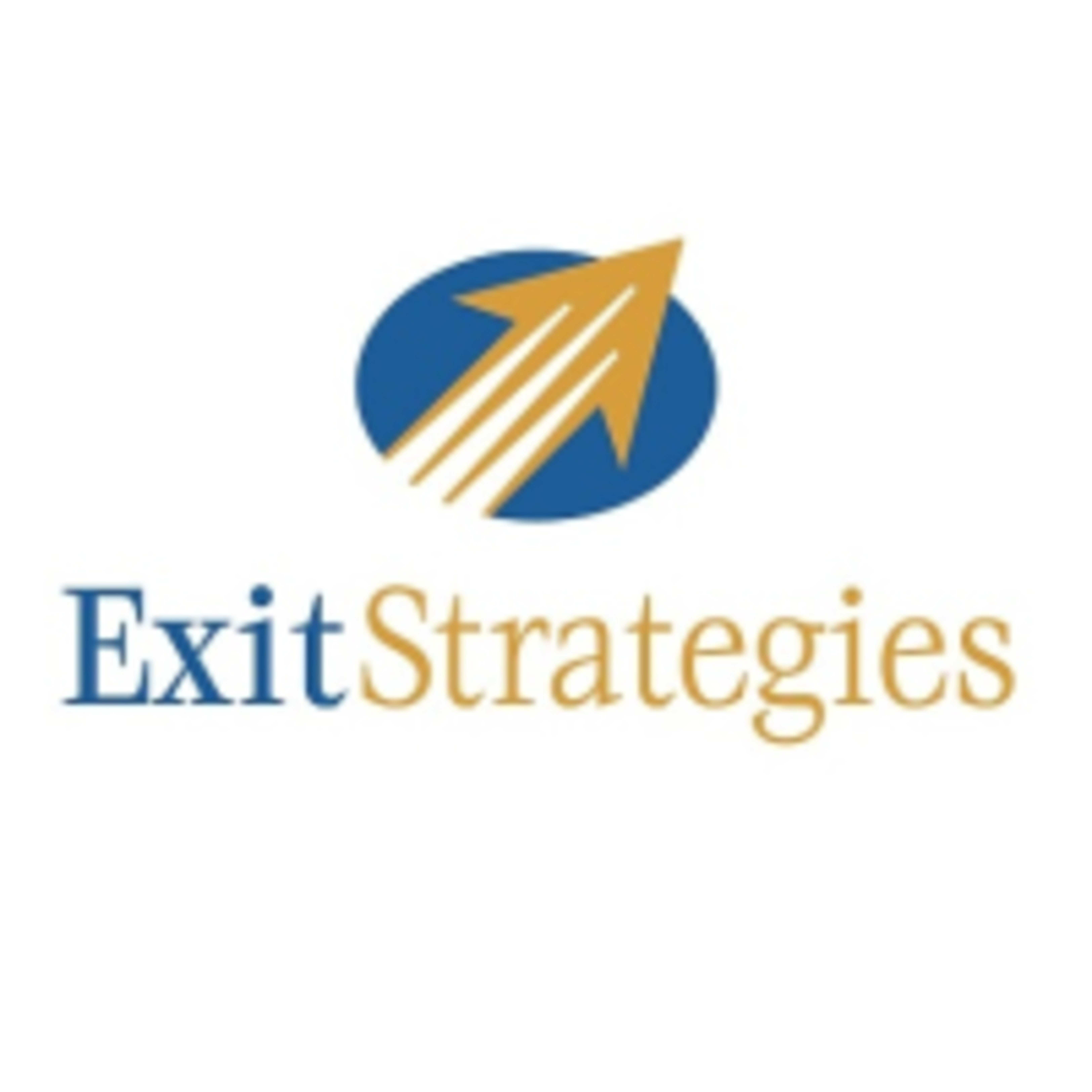 Exit Strategies Group Inc.