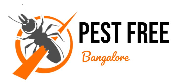 Pest Free Bangalore