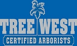 Tree West