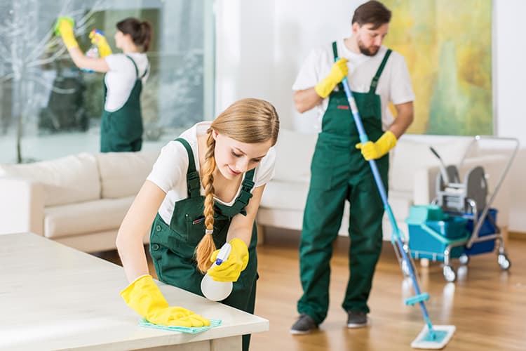 A Home Cleaning Service - How to Start a Polished One of Your Own