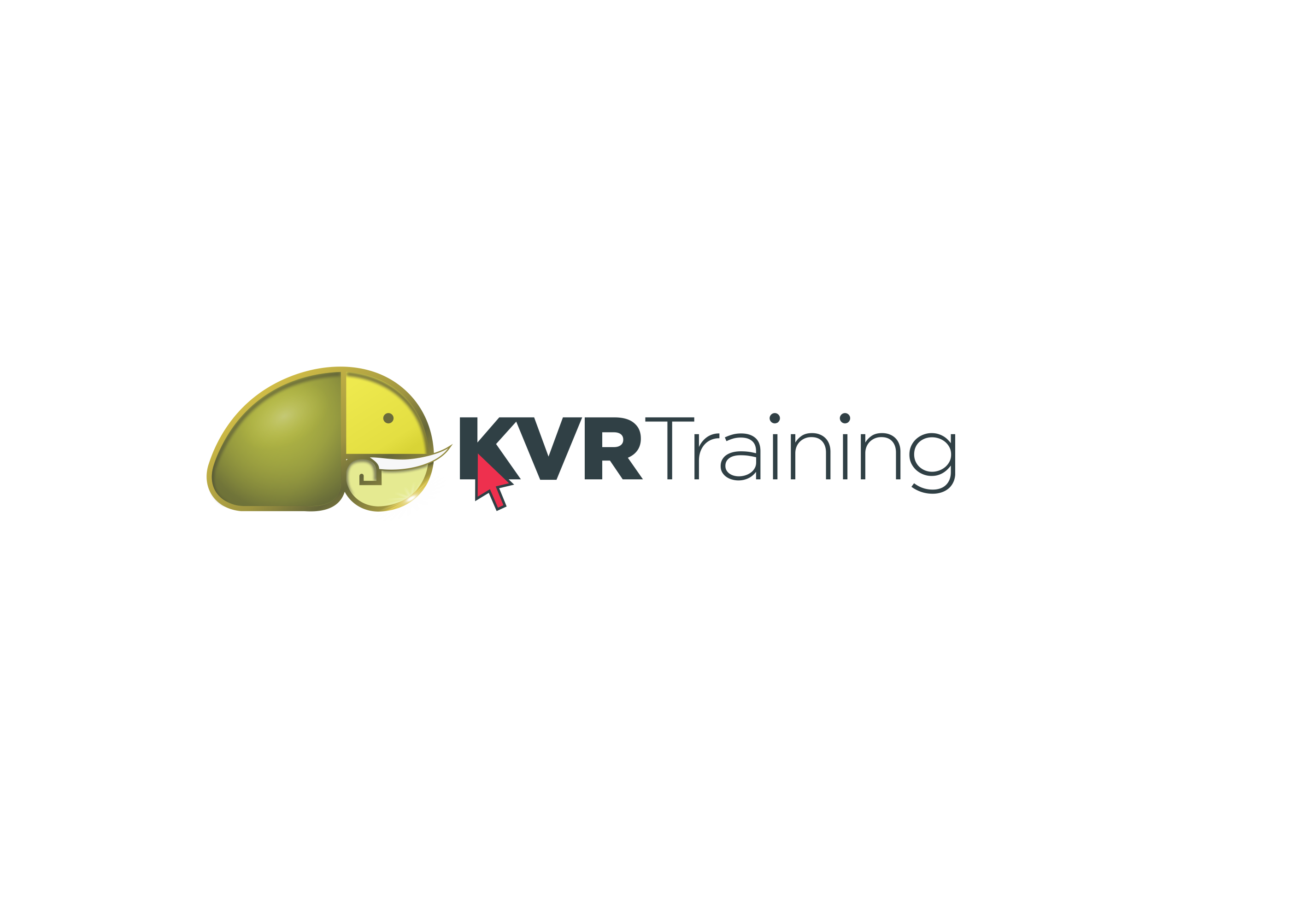 KVR Consulting