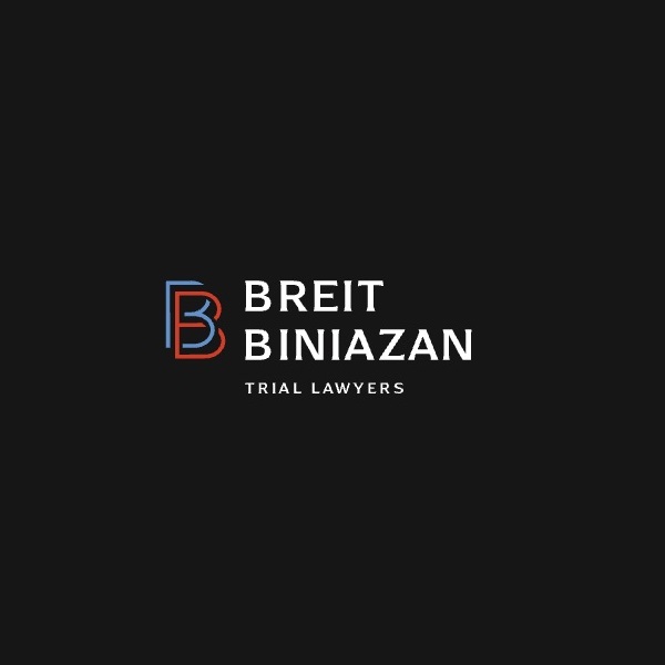 Breit Biniazan | Virginia Personal Injury Attorneys