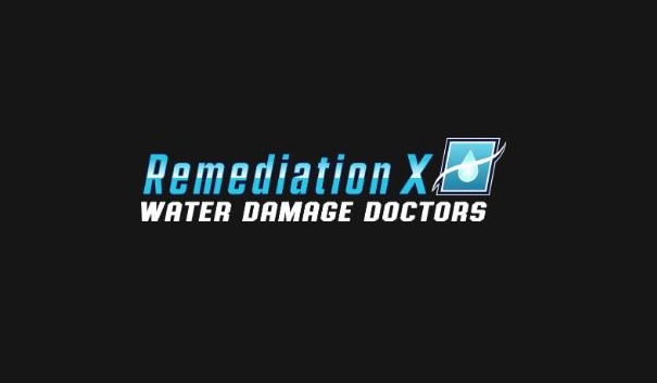 REMEDIATIONX