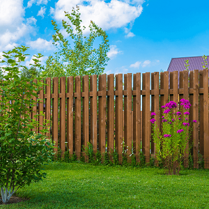 Casper Fencing