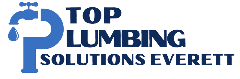 Top Plumbing Solutions Everett