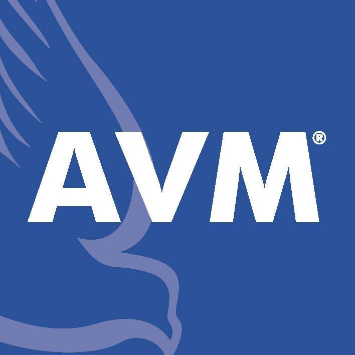 avm enterprises inc