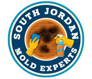 Mold Remediation South Jordan Experts