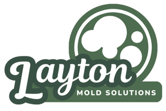 Mold Remediation Layton Experts