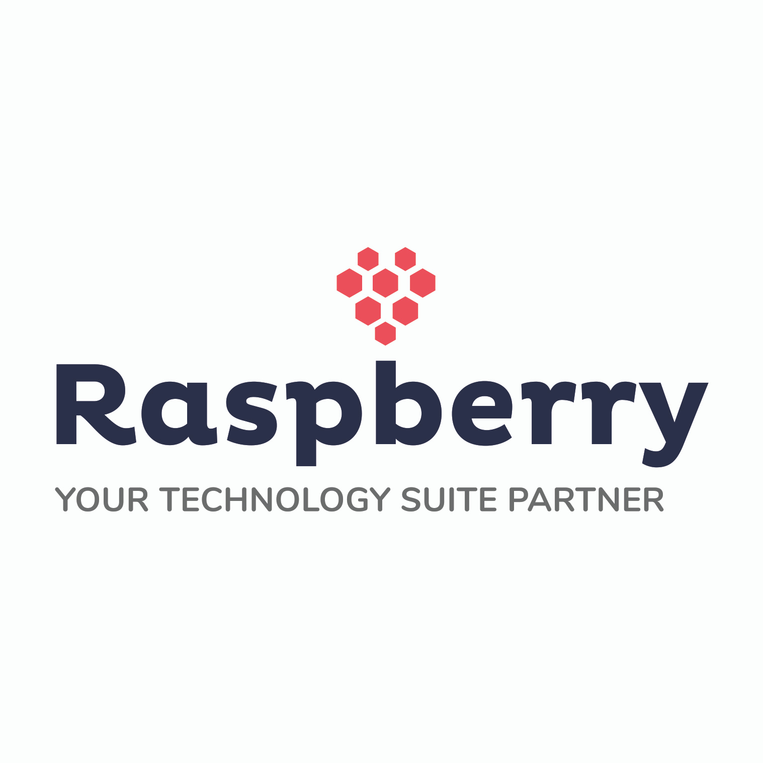 Raspberry IT Services