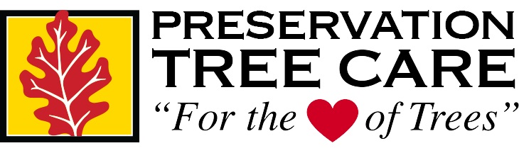 Preservation Tree Care