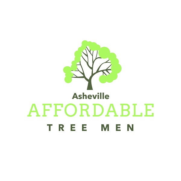 Asheville Affordable Tree Men