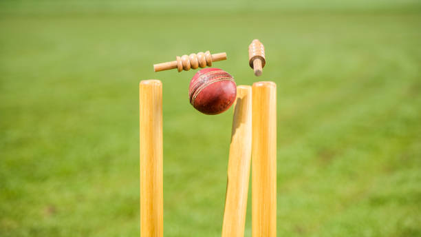 Cricket News
