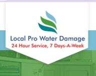 Pro Water Damage INC