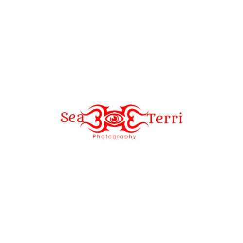 Sea Terri Photography | Photography Services