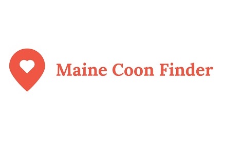 Maine Coon Finder