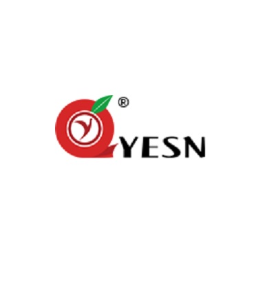 XIAMEN YESN-China shipping label manufacturer-compatible labels