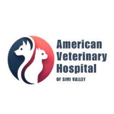 American Veterinary Hospital