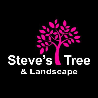 Steve's Tree and Landscape
