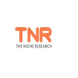 The Niche Research