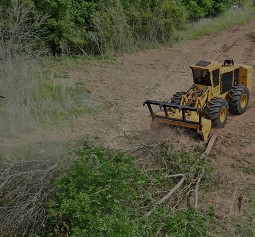 Walnut Springs Texas Land Clearing Services
