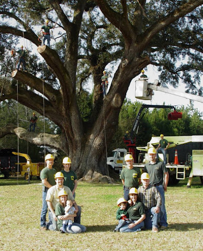 Dowling Tree Service