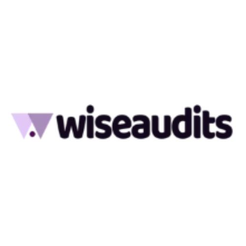 Wise Audits