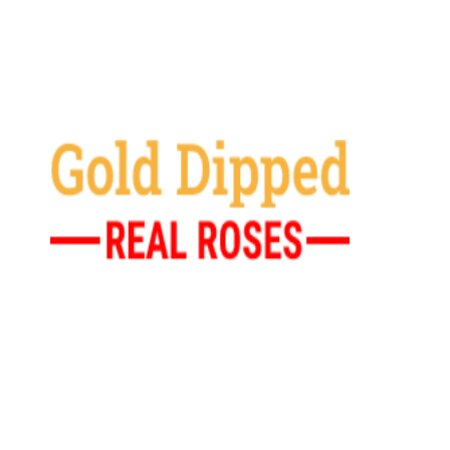 Gold Dipped Real Rose