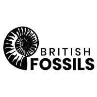 British Fossils