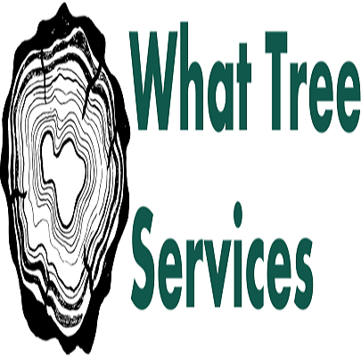 What Tree Services LLC