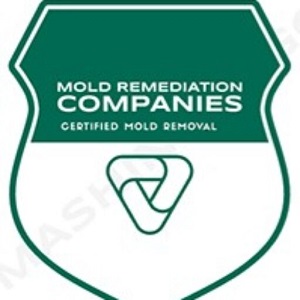 Salt Lake City Mold Remediation Pros