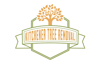 Kitchener Tree Removal