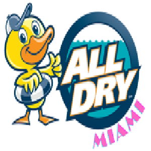 All Dry Services of Miami