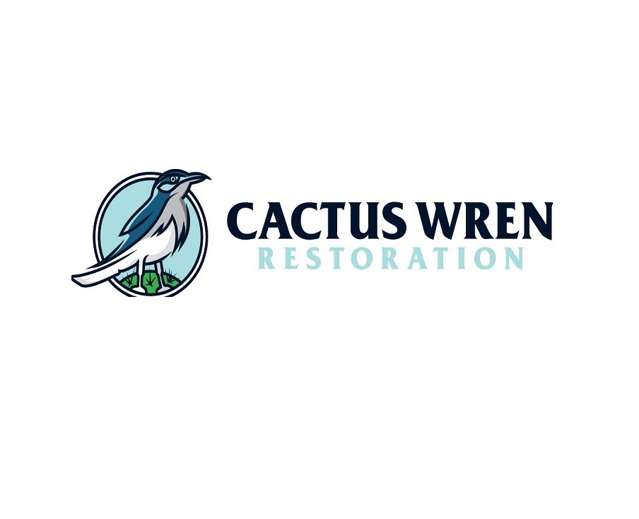 Cactus Wren Restoration