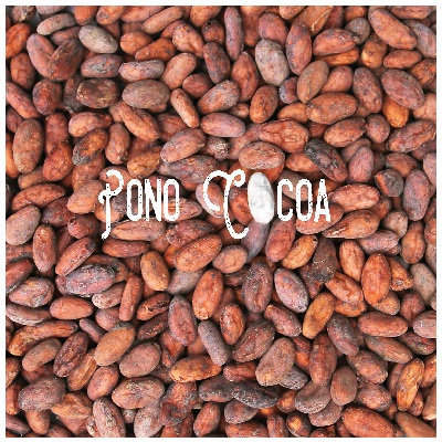 Pono Cocoa