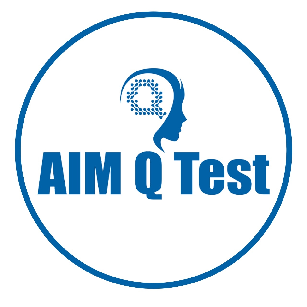  AIM Q Test 