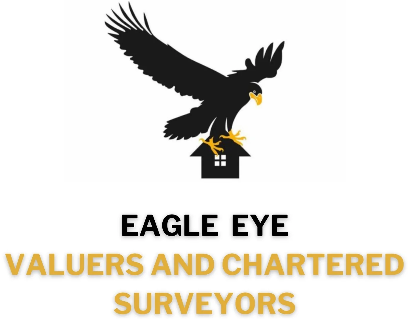 Eagle Eye Surveying