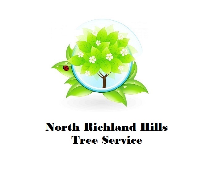 North Richland Hills Tree Service