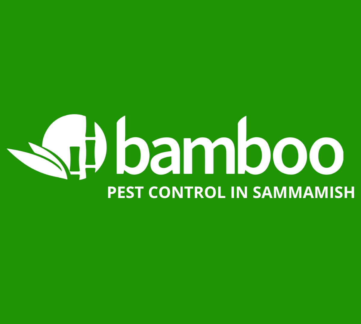 Sammamish Pest Control by Bamboo