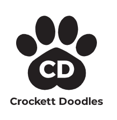 Crockett Doodles