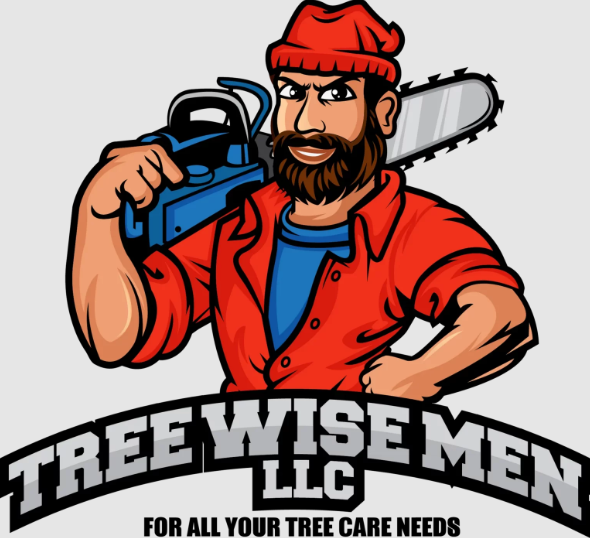 Tree Wise Men LLC